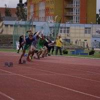 IMG 4633